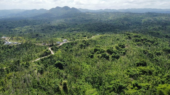 Tenth image of 56 Ducketts in Cambridge, St. James, Jamaica - property is For Sale