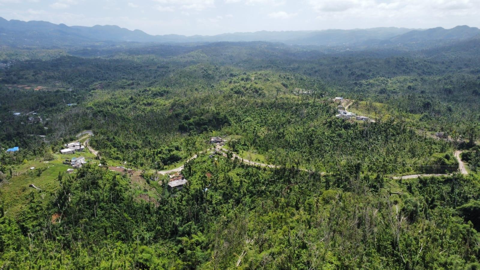 Eleventh image of 56 Ducketts in Cambridge, St. James, Jamaica - property is For Sale