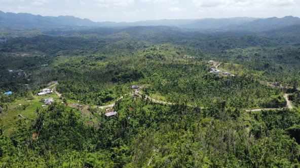 Eleventh image of 56 Ducketts in Cambridge, St. James, Jamaica - property is For Sale
