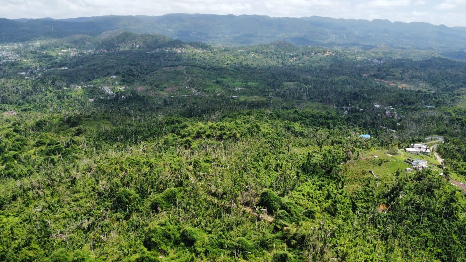 Twelfth image of 56 Ducketts in Cambridge, St. James, Jamaica - property is For Sale