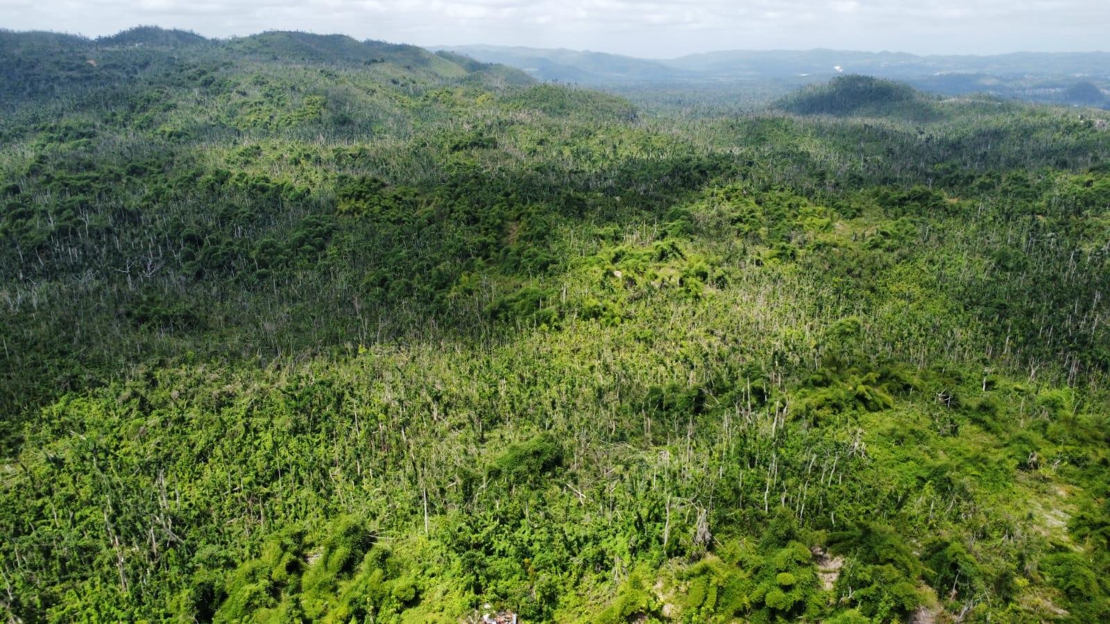 Thirteenth image of 56 Ducketts in Cambridge, St. James, Jamaica - property is For Sale
