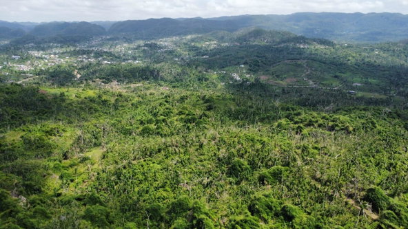 Fifteenth image of 56 Ducketts in Cambridge, St. James, Jamaica - property is For Sale