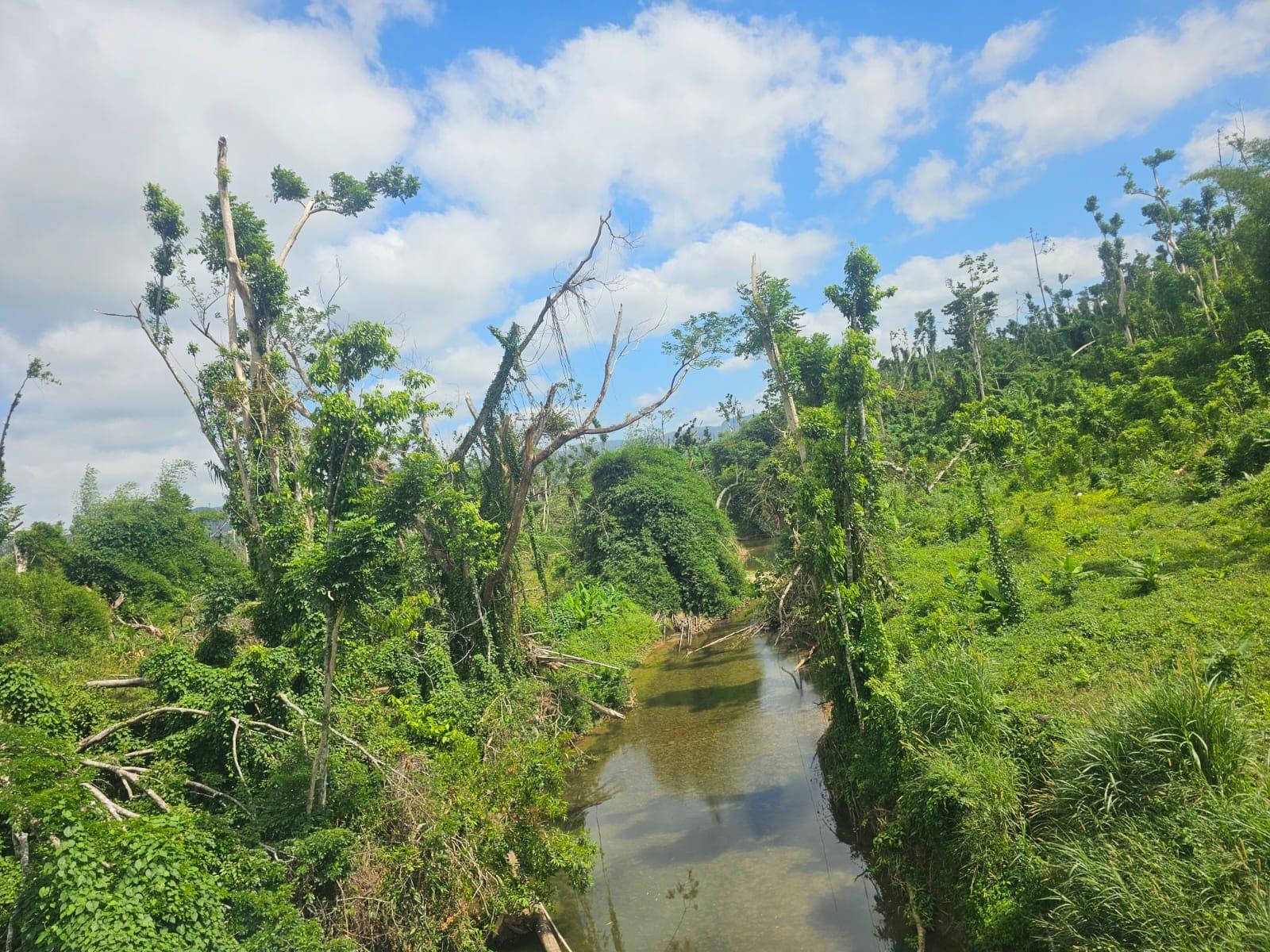 Sixteenth image of 56 Ducketts in Cambridge, St. James, Jamaica - property is For Sale