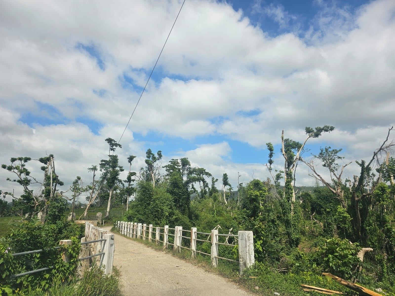 Eighteenth image of 56 Ducketts in Cambridge, St. James, Jamaica - property is For Sale