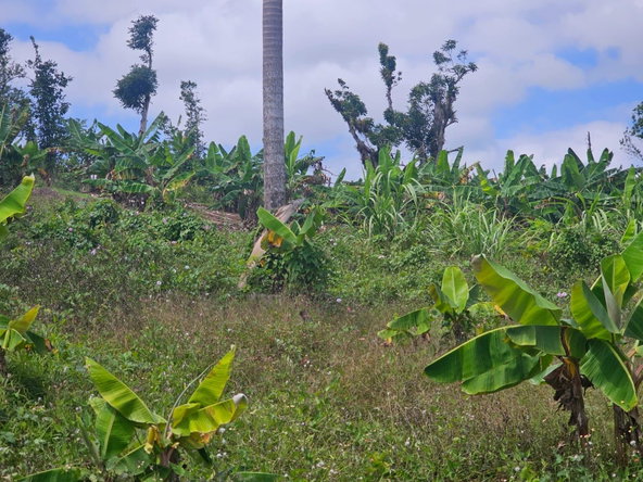 Nineteenth image of 56 Ducketts in Cambridge, St. James, Jamaica - property is For Sale
