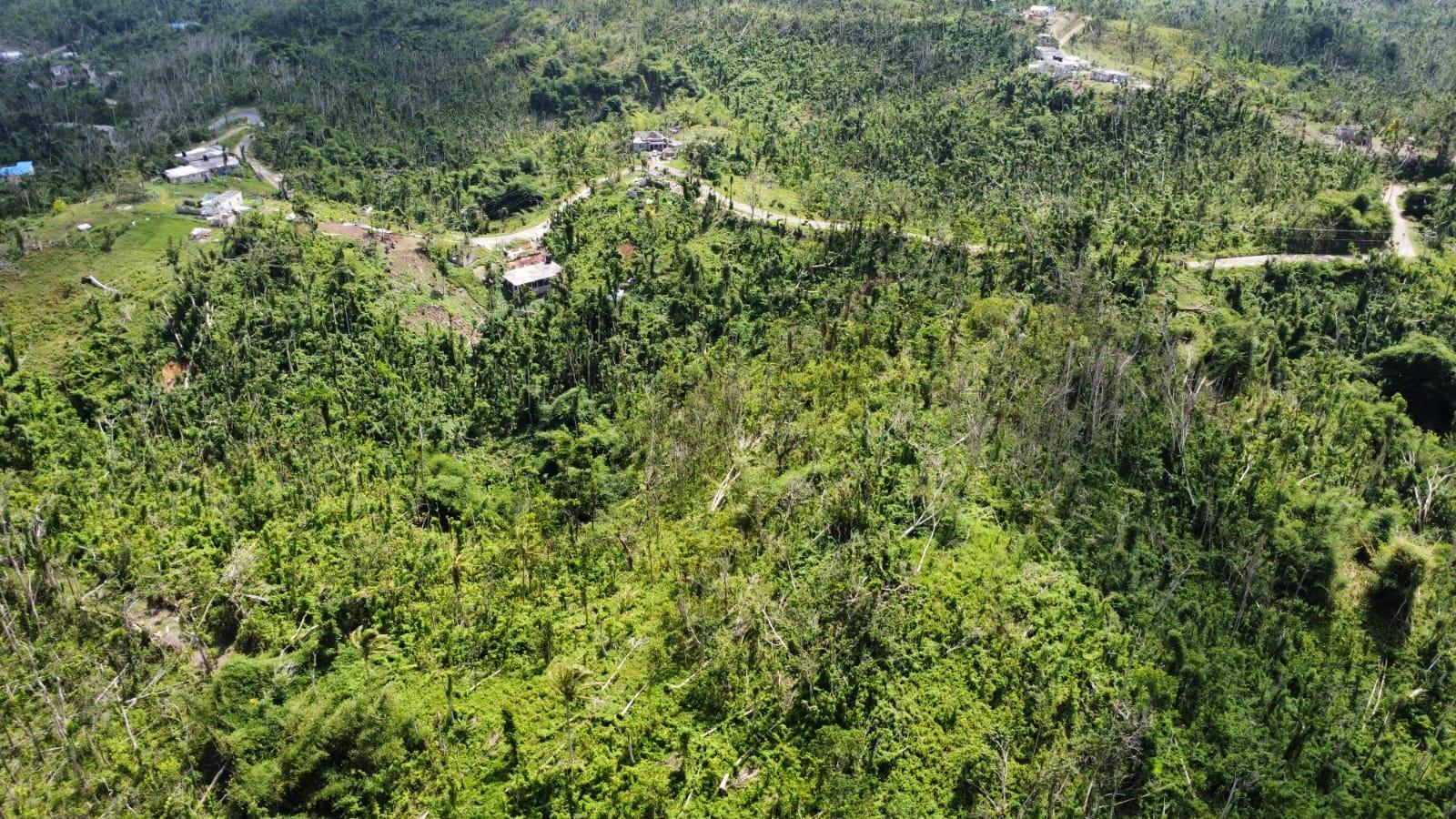 Fifth image of 56 Ducketts in Cambridge, St. James, Jamaica - property is For Sale