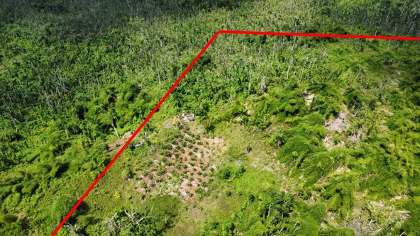 Sixth image of 56 Ducketts in Cambridge, St. James, Jamaica - property is For Sale