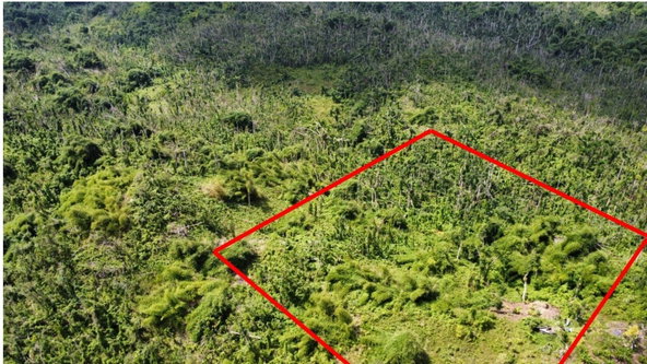 Seventh image of 56 Ducketts in Cambridge, St. James, Jamaica - property is For Sale