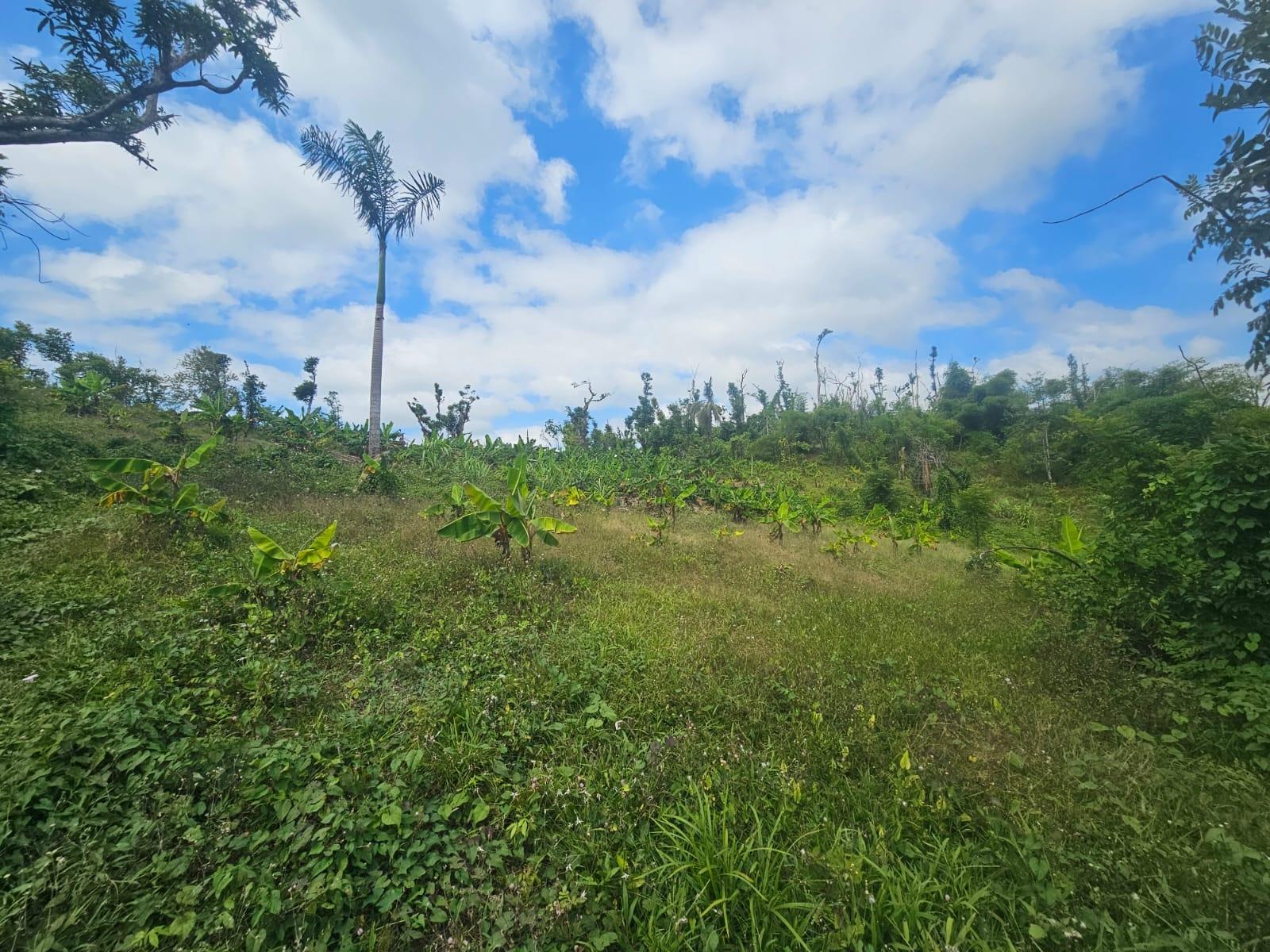 Ninth image of 56 Ducketts in Cambridge, St. James, Jamaica - property is For Sale