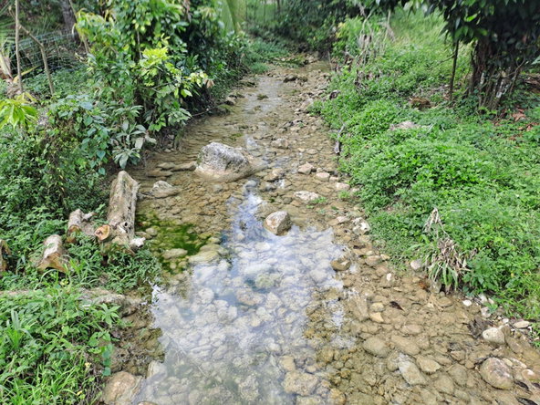 First image of Portland in Mount Pleasant, Portland, Jamaica - property is For Sale