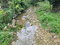 First image of Portland in Mount Pleasant, Portland, Jamaica - property is For Sale