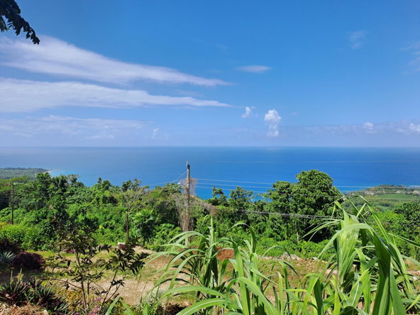 Second image of Portland in Mount Pleasant, Portland, Jamaica - property is For Sale
