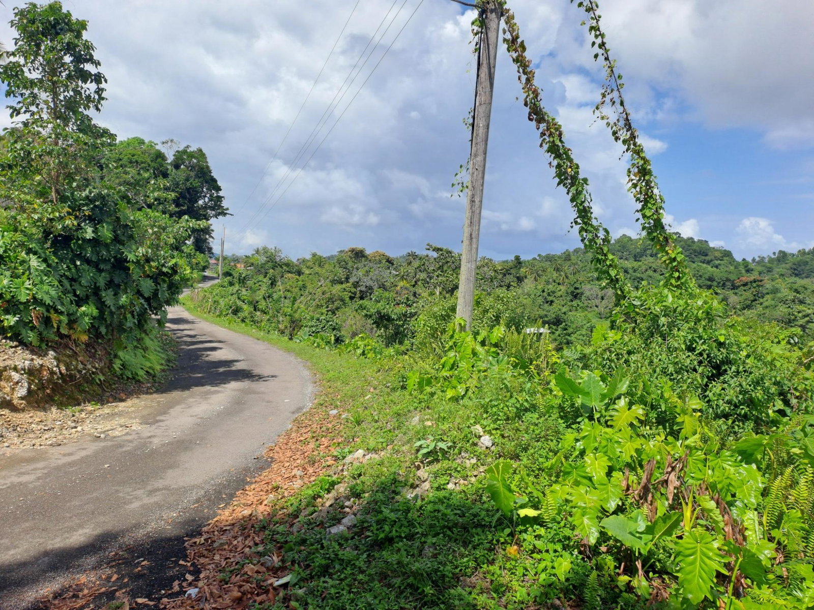 Sixth image of Portland in Mount Pleasant, Portland, Jamaica - property is For Sale