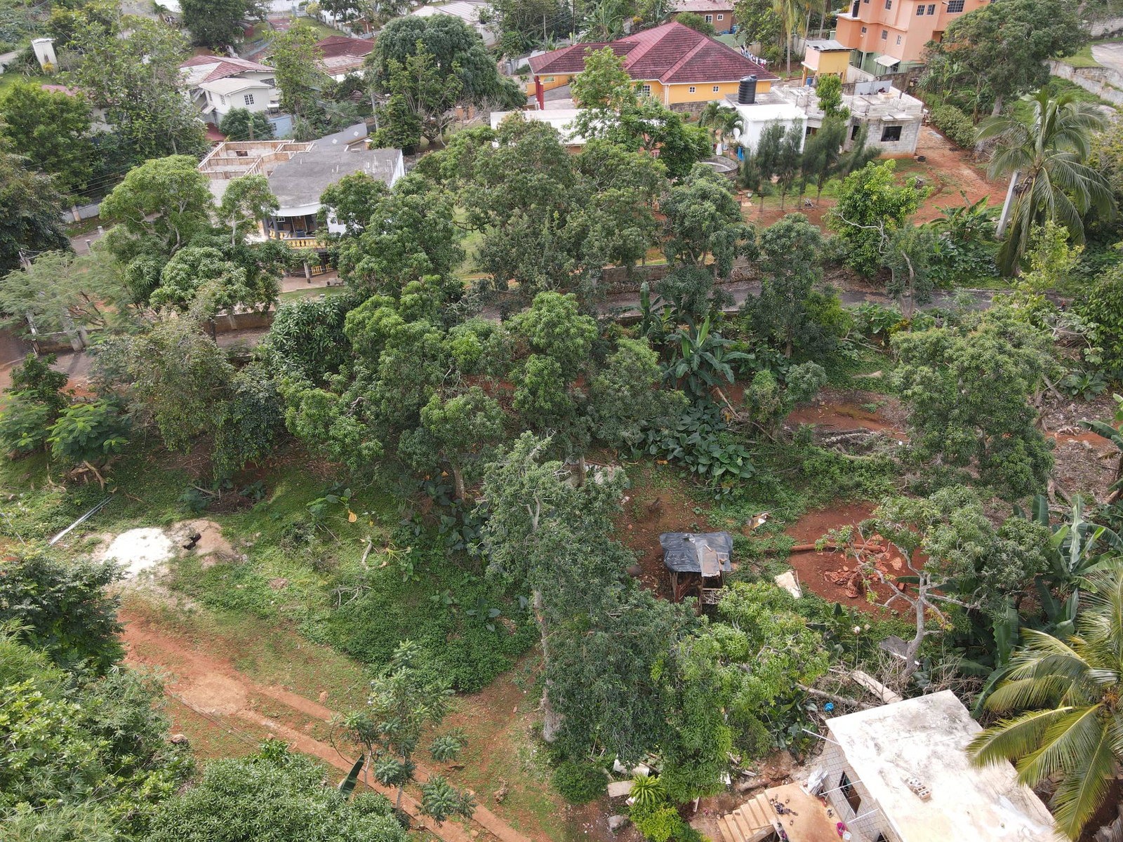 Third image of Shooters Hill in Mandeville, Manchester, Jamaica - property is For Sale