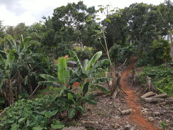 Sixth image of Shooters Hill in Mandeville, Manchester, Jamaica - property is For Sale