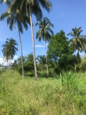 First image of 128 Charlemont Pen, Ewarton in Ewarton, St. Catherine, Jamaica - property is For Sale
