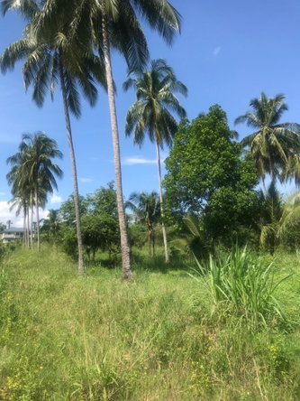 First image of 128 Charlemont Pen, Ewarton in Ewarton, St. Catherine, Jamaica - property is For Sale