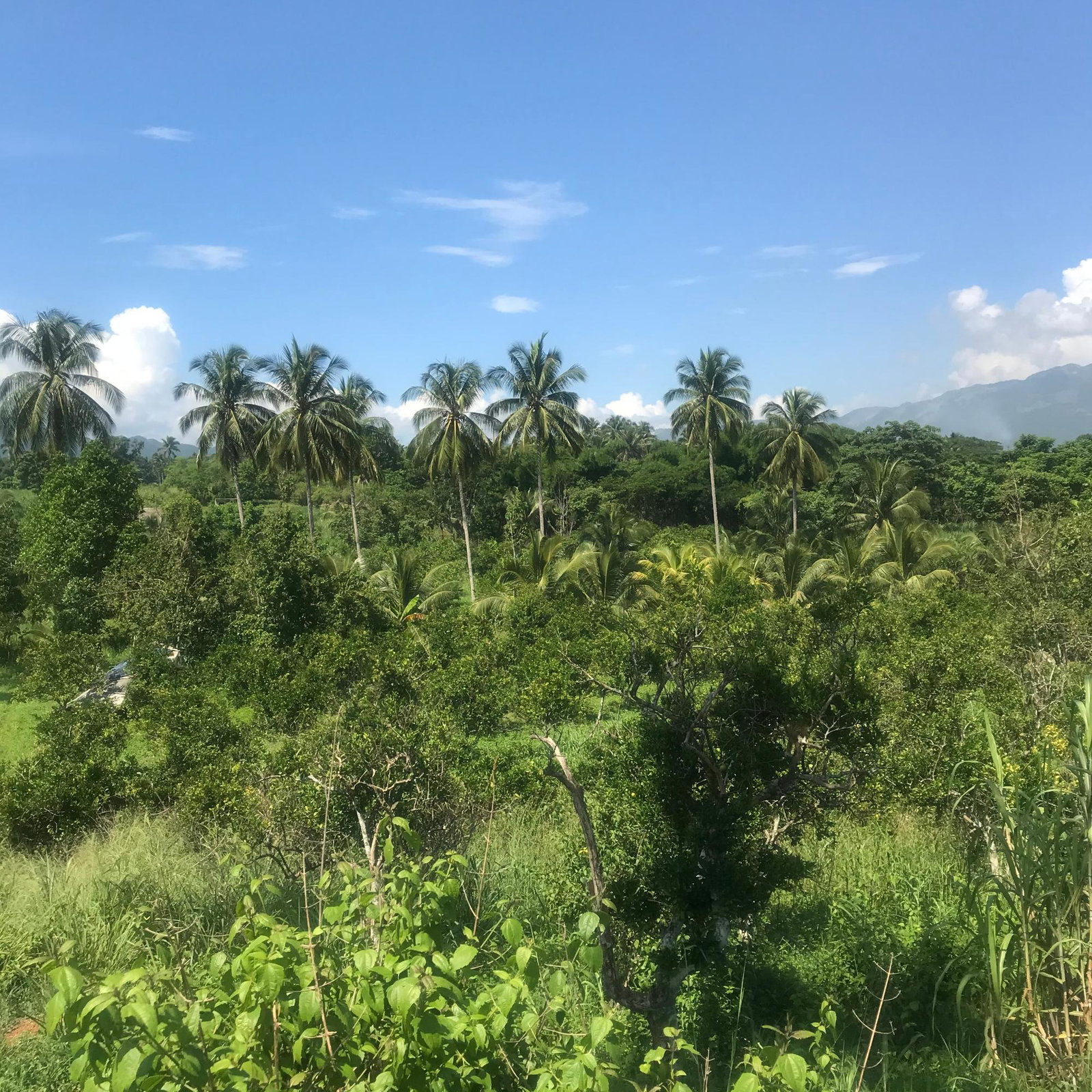 Tenth image of 128 Charlemont Pen, Ewarton in Ewarton, St. Catherine, Jamaica - property is For Sale