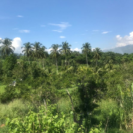 Tenth image of 128 Charlemont Pen, Ewarton in Ewarton, St. Catherine, Jamaica - property is For Sale