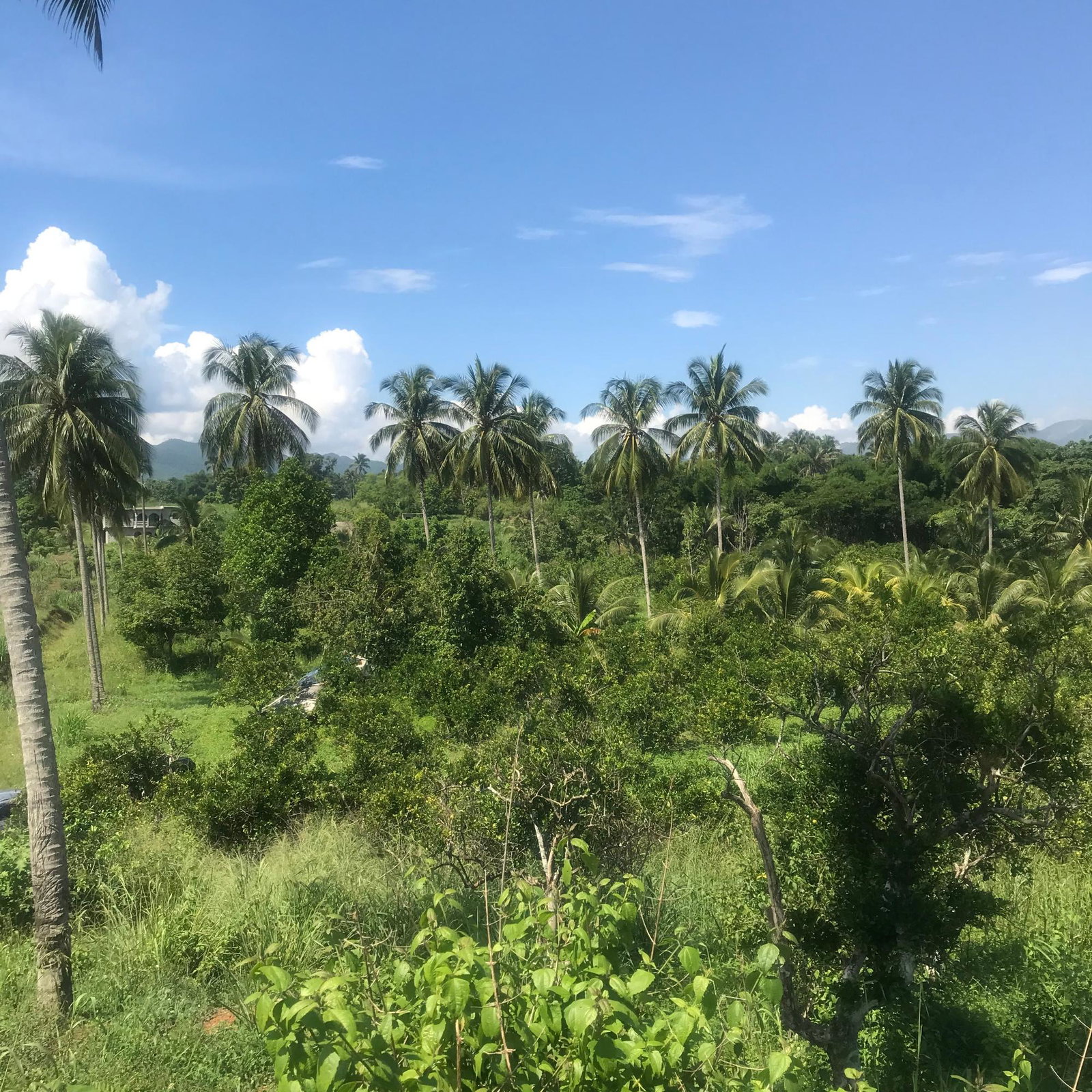 Eleventh image of 128 Charlemont Pen, Ewarton in Ewarton, St. Catherine, Jamaica - property is For Sale