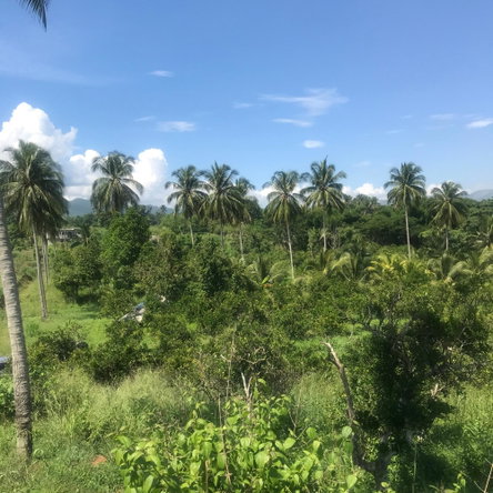Eleventh image of 128 Charlemont Pen, Ewarton in Ewarton, St. Catherine, Jamaica - property is For Sale