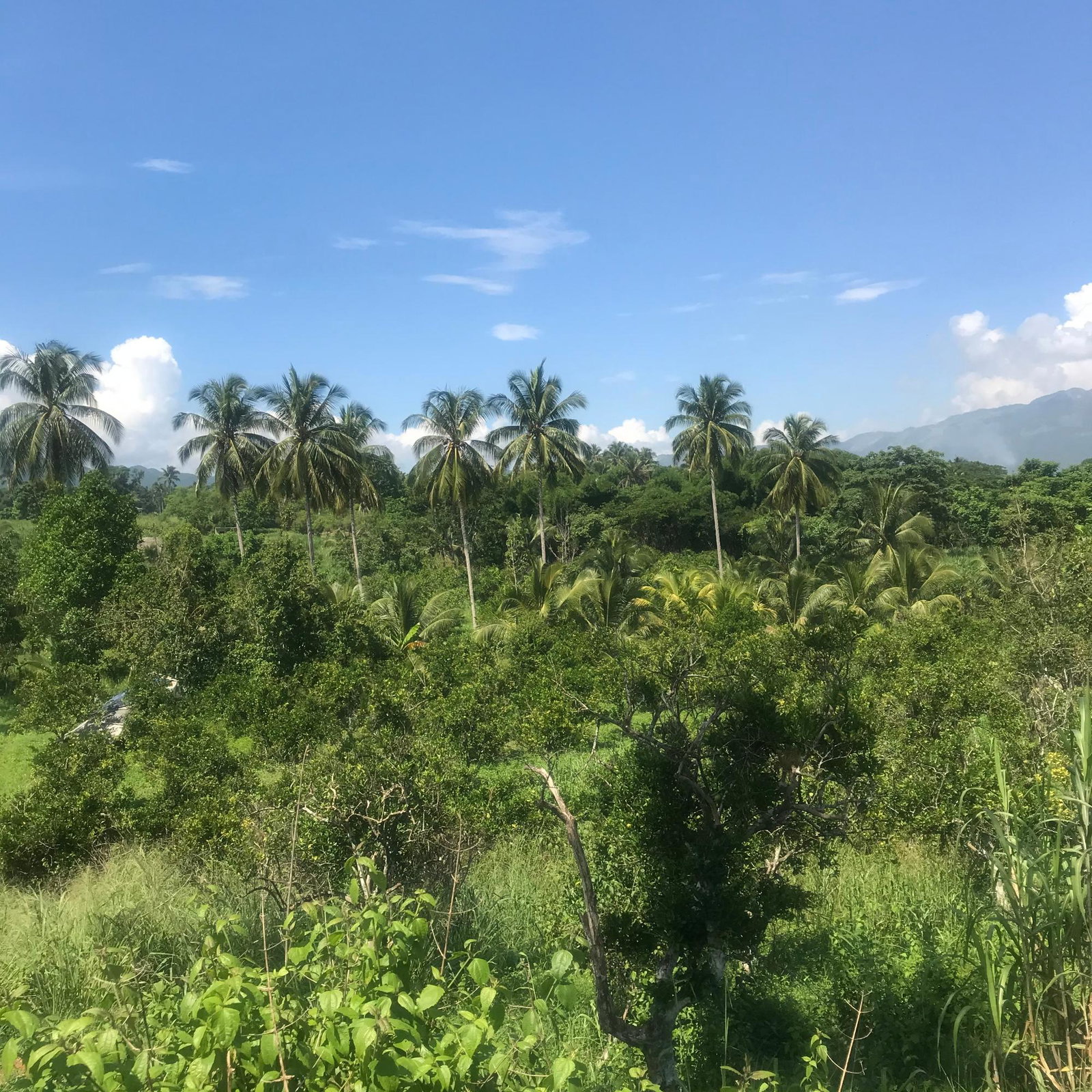 Twelfth image of 128 Charlemont Pen, Ewarton in Ewarton, St. Catherine, Jamaica - property is For Sale