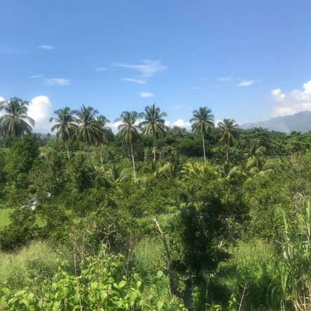 Twelfth image of 128 Charlemont Pen, Ewarton in Ewarton, St. Catherine, Jamaica - property is For Sale