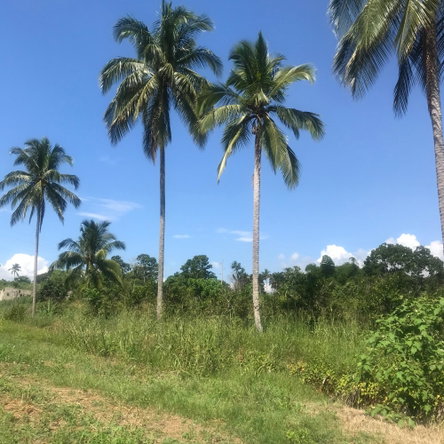 Thirteenth image of 128 Charlemont Pen, Ewarton in Ewarton, St. Catherine, Jamaica - property is For Sale