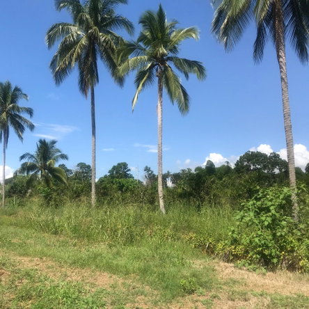 Fourteenth image of 128 Charlemont Pen, Ewarton in Ewarton, St. Catherine, Jamaica - property is For Sale