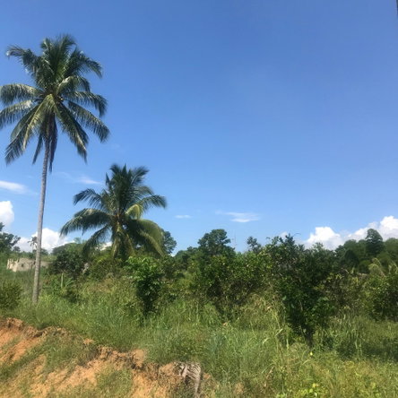 Sixteenth image of 128 Charlemont Pen, Ewarton in Ewarton, St. Catherine, Jamaica - property is For Sale