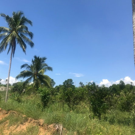 Seventeenth image of 128 Charlemont Pen, Ewarton in Ewarton, St. Catherine, Jamaica - property is For Sale
