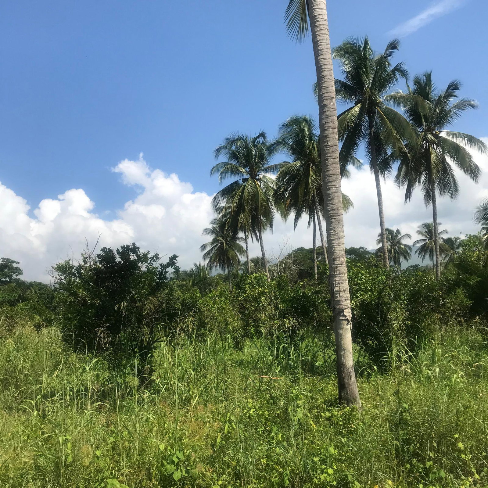 Eighteenth image of 128 Charlemont Pen, Ewarton in Ewarton, St. Catherine, Jamaica - property is For Sale
