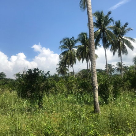 Eighteenth image of 128 Charlemont Pen, Ewarton in Ewarton, St. Catherine, Jamaica - property is For Sale