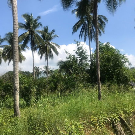 Nineteenth image of 128 Charlemont Pen, Ewarton in Ewarton, St. Catherine, Jamaica - property is For Sale