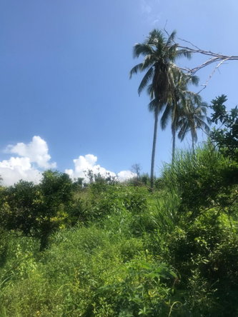 Second image of 128 Charlemont Pen, Ewarton in Ewarton, St. Catherine, Jamaica - property is For Sale