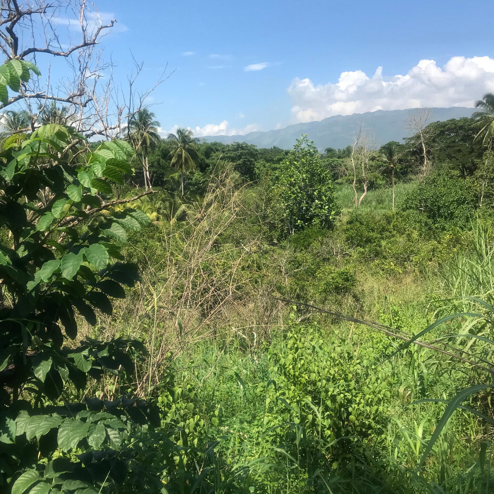 Third image of 128 Charlemont Pen, Ewarton in Ewarton, St. Catherine, Jamaica - property is For Sale