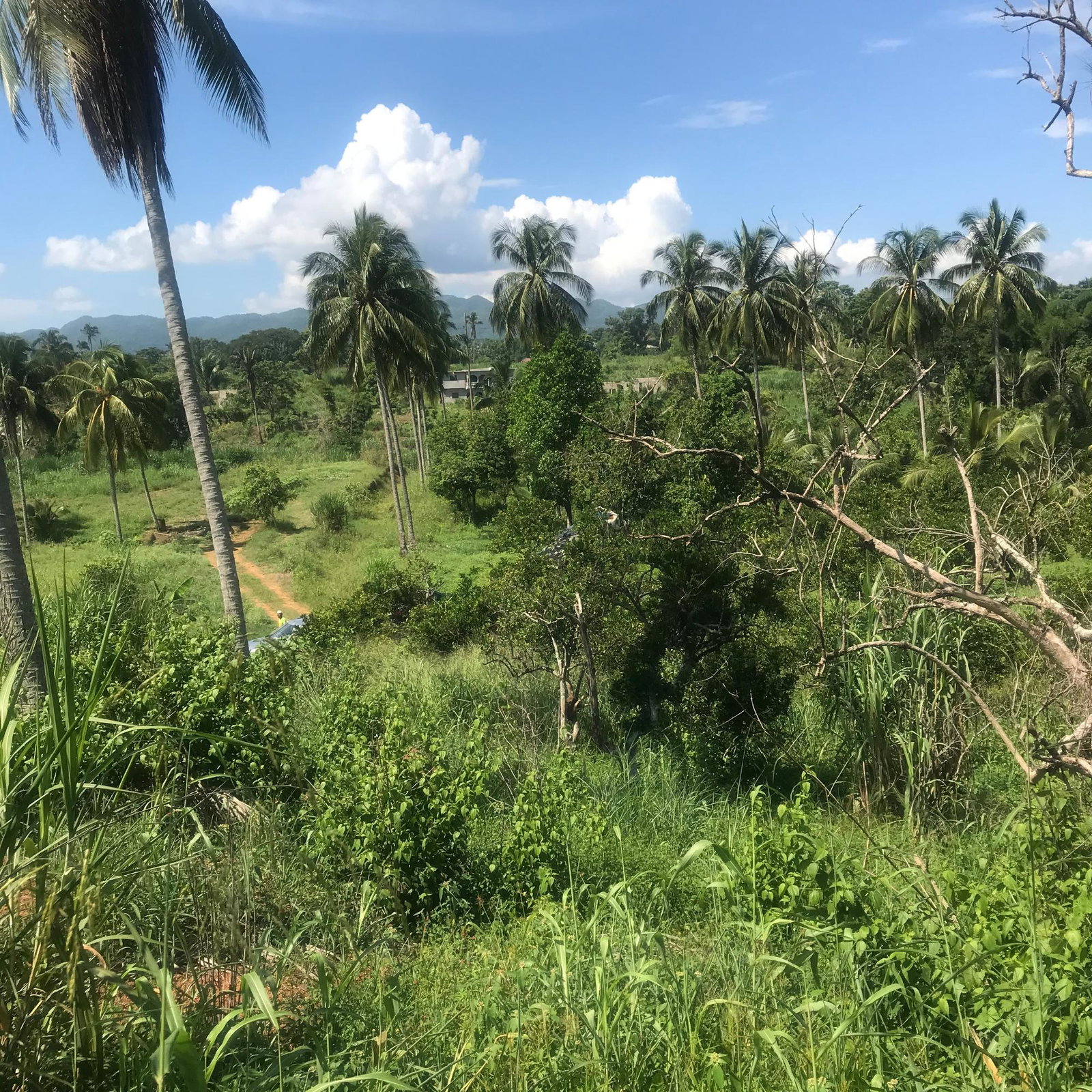 Fourth image of 128 Charlemont Pen, Ewarton in Ewarton, St. Catherine, Jamaica - property is For Sale