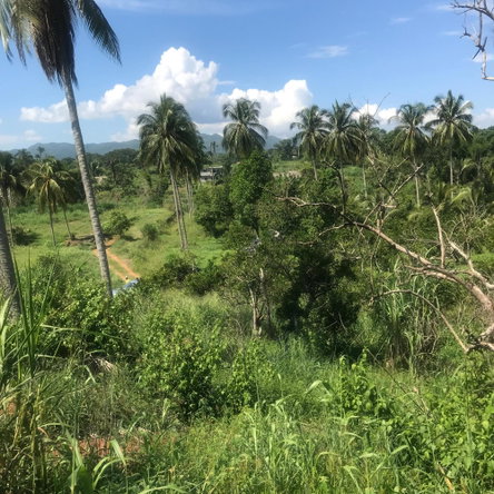 Fourth image of 128 Charlemont Pen, Ewarton in Ewarton, St. Catherine, Jamaica - property is For Sale