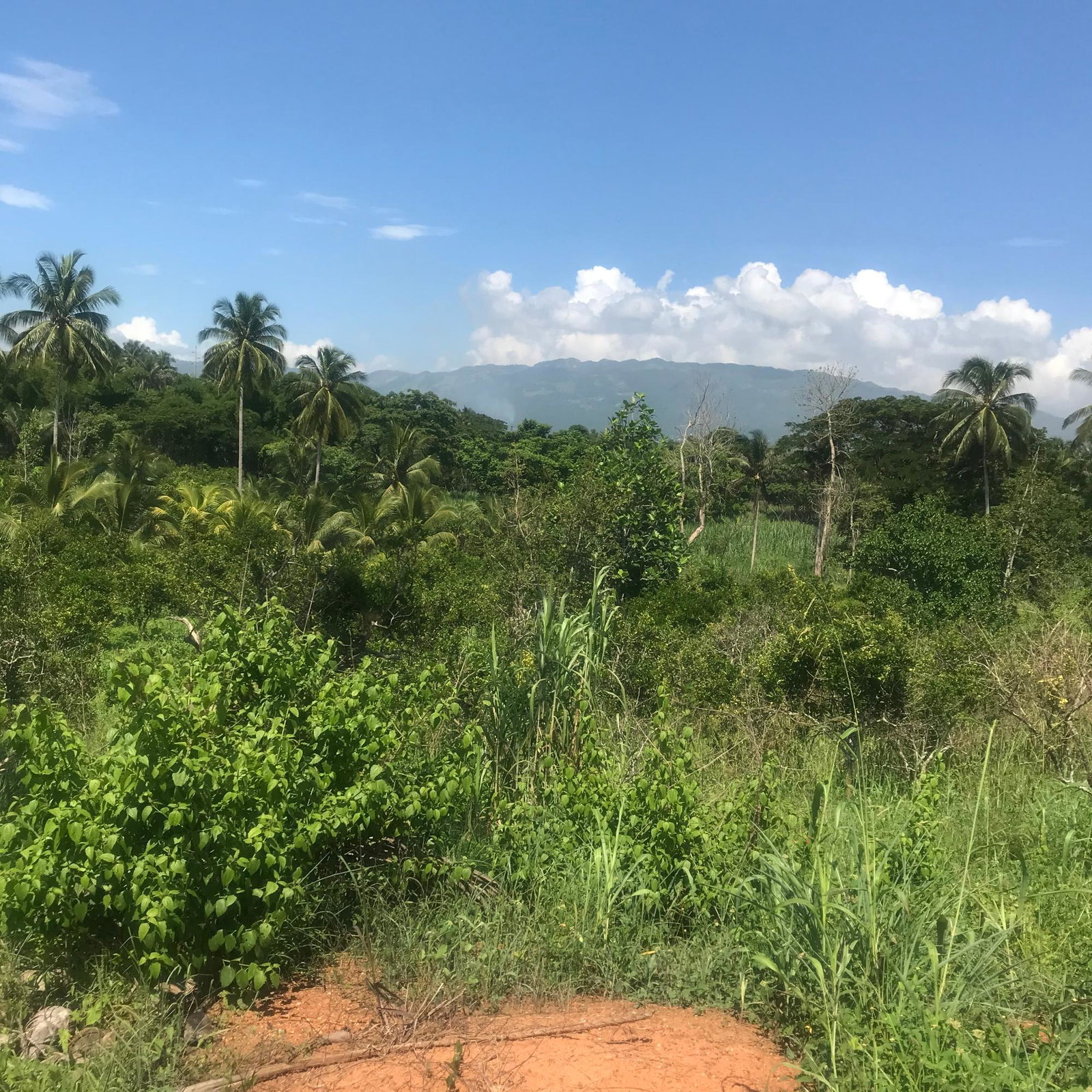 Fifth image of 128 Charlemont Pen, Ewarton in Ewarton, St. Catherine, Jamaica - property is For Sale