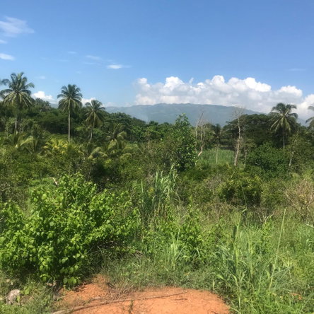 Fifth image of 128 Charlemont Pen, Ewarton in Ewarton, St. Catherine, Jamaica - property is For Sale