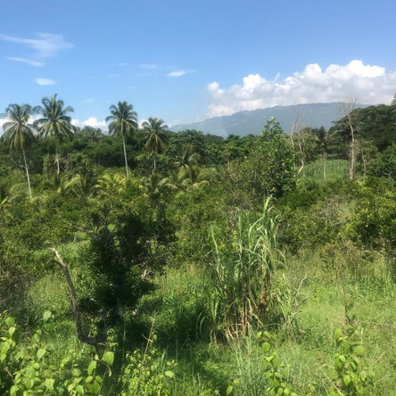 Sixth image of 128 Charlemont Pen, Ewarton in Ewarton, St. Catherine, Jamaica - property is For Sale