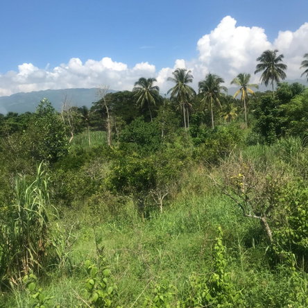 Seventh image of 128 Charlemont Pen, Ewarton in Ewarton, St. Catherine, Jamaica - property is For Sale