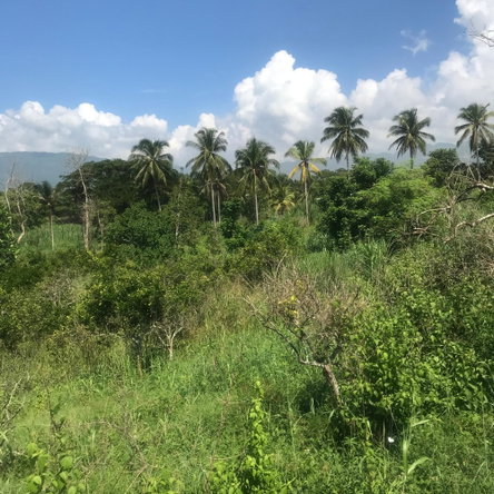 Eighth image of 128 Charlemont Pen, Ewarton in Ewarton, St. Catherine, Jamaica - property is For Sale