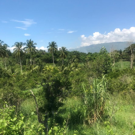 Ninth image of 128 Charlemont Pen, Ewarton in Ewarton, St. Catherine, Jamaica - property is For Sale