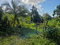 First image of 124, 145 Pentonvale District in Windsor Castle, Portland, Jamaica - property is For Sale