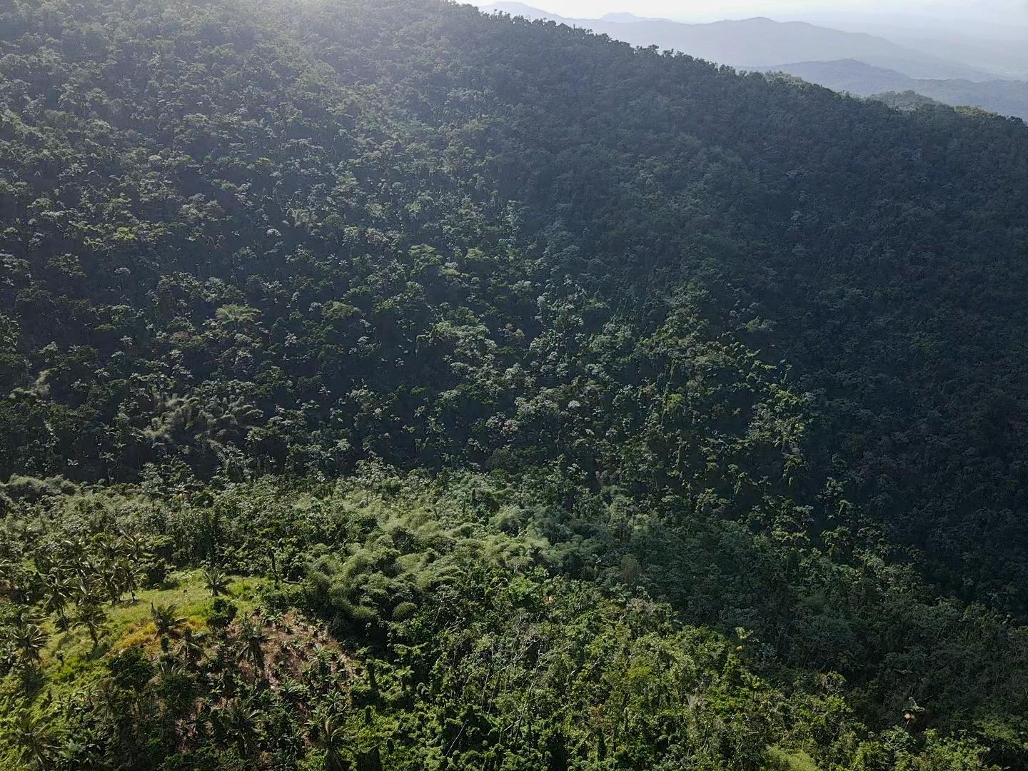Tenth image of 124, 145 Pentonvale District in Windsor Castle, Portland, Jamaica - property is For Sale