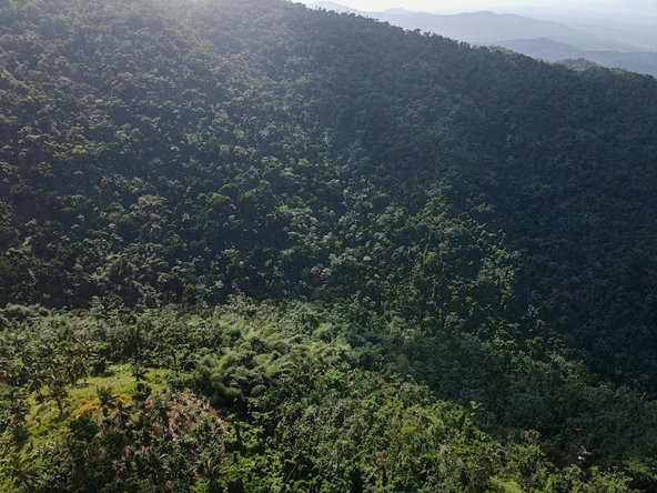 Tenth image of 124, 145 Pentonvale District in Windsor Castle, Portland, Jamaica - property is For Sale