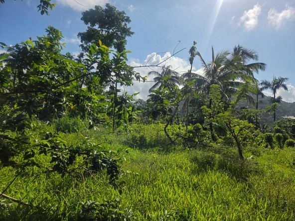 Second image of 124, 145 Pentonvale District in Windsor Castle, Portland, Jamaica - property is For Sale