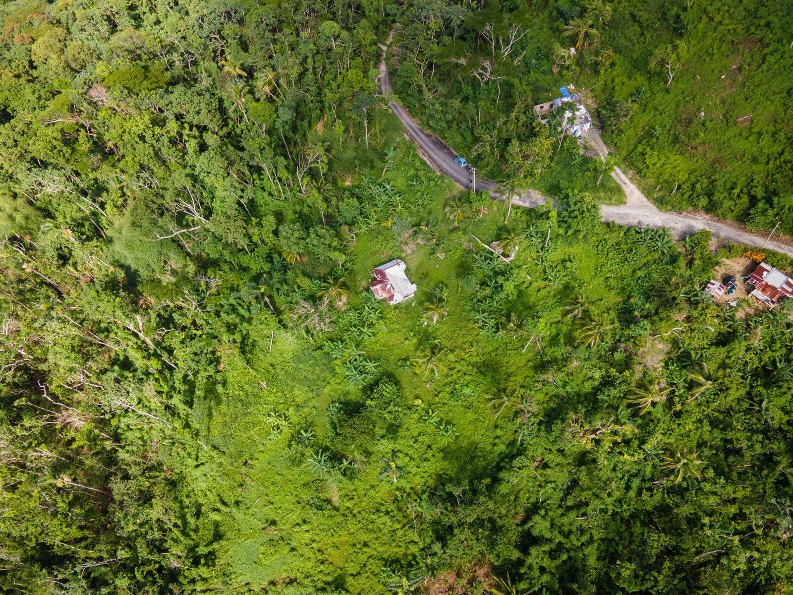 Third image of 124, 145 Pentonvale District in Windsor Castle, Portland, Jamaica - property is For Sale