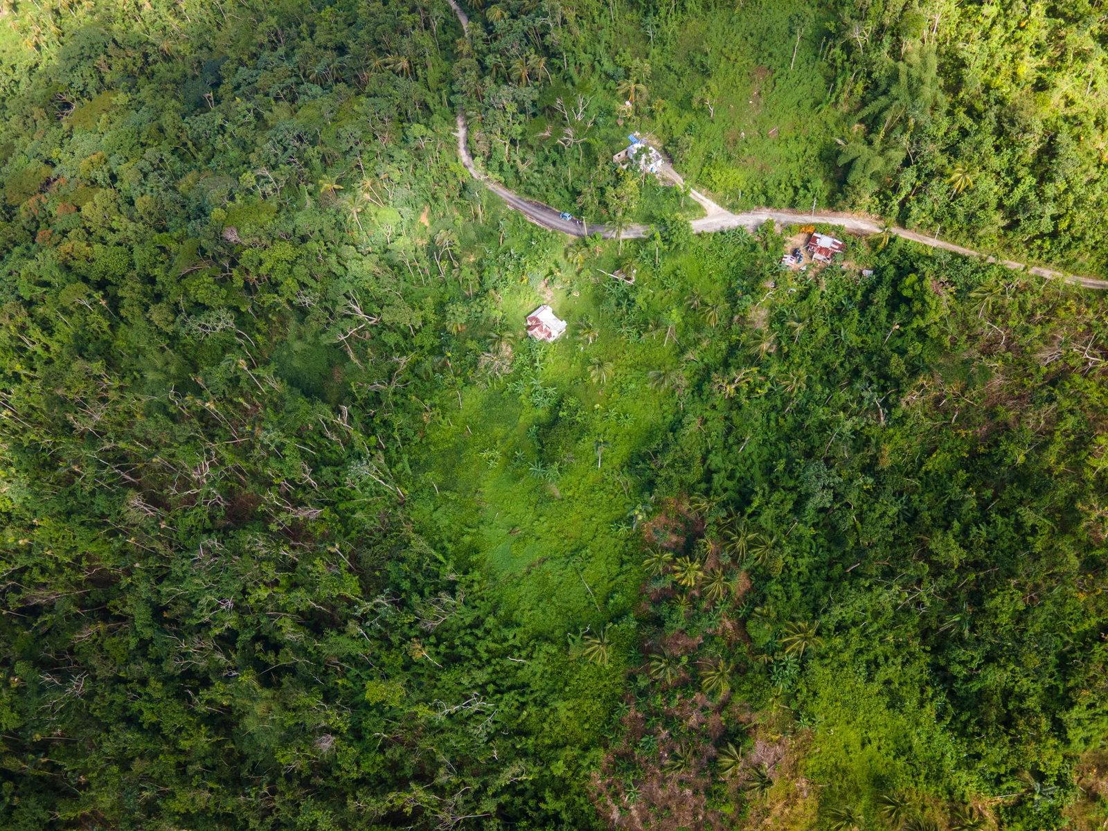 Fourth image of 124, 145 Pentonvale District in Windsor Castle, Portland, Jamaica - property is For Sale
